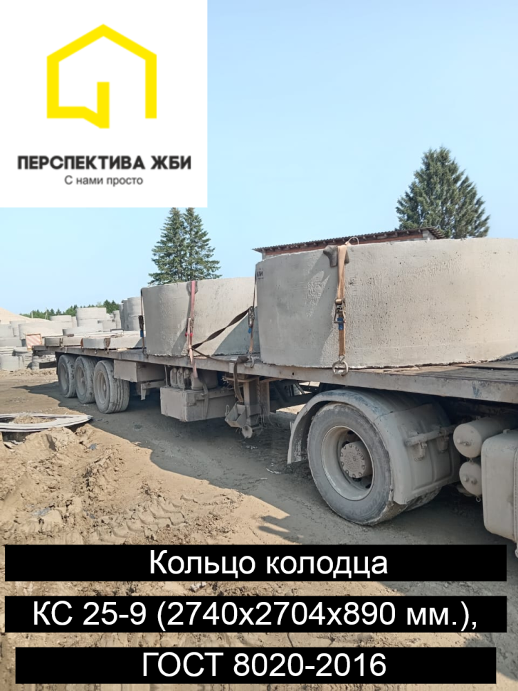 Кольцо КС 25-9, ГОСТ 8020-2016 